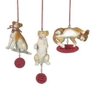  Midwest Dogs Life Christmas Ornament Set of 3 Beagle 
