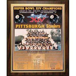 1979 Pittsburgh Steelers NFL Football Super Bowl 14 XIV Championship 