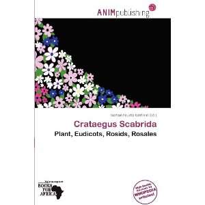  Crataegus Scabrida (9786139553181) Norton Fausto Garfield Books