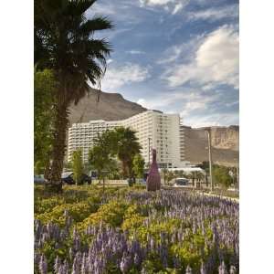  Hotels in Ein Bokek, Along the Dead Sea Photographic 