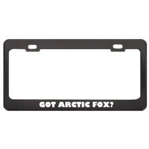 Got Arctic Fox? Animals Pets Black Metal License Plate Frame Holder 