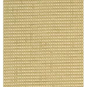  1393 Gaffney in Straw by Pindler Fabric