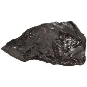 American Educational 5213B Anthracite Coal Metamorphic Rock, 10 Pieces 