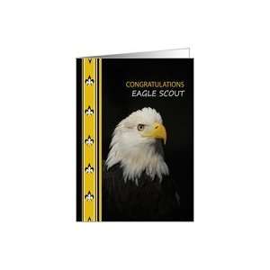  Congratulations Eagle Scout   American Bald Eagle Card 