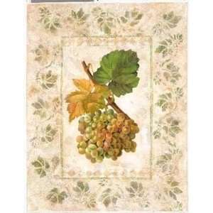  American Varietal I Poster Print