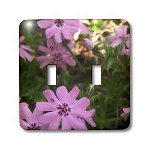 Renderly Yours Florals   Lovely Little Purple Flowers   Light Switch 