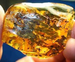 Genuine BALTIC AMBER Stone, WITH FOSSIL INSECT  30 gram  