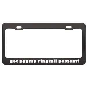 Got Pygmy Ringtail Possom? Animals Pets Black Metal License Plate 