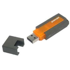  New PANRAM 256 MB USB Crystal Bar Electronics