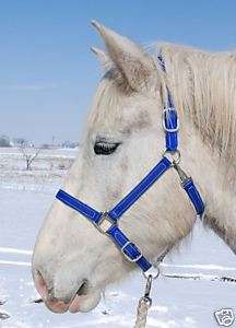 Amish made Biothane BLUE draft horse halter  