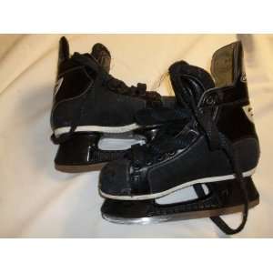 Skates   Size 4.0 (teed/adult)   excellent structual condition   used 