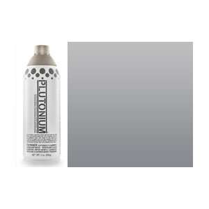   Spray Paint 12 oz Can   2nd Place (Metallic) Arts, Crafts & Sewing