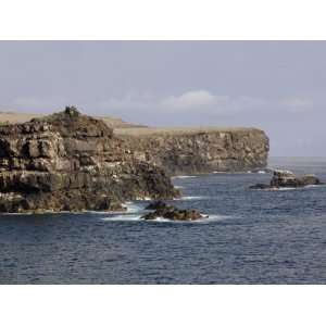 com Point Suarez, Espanola Island, Galapagos, Ecuador, South America 