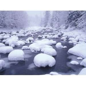  Fresh Snowfall on Denny Creek, Snowqualmie Summit 