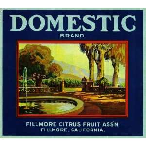  Fillmore Domestic Orange Citrus Fruit Crate Box Label Art 
