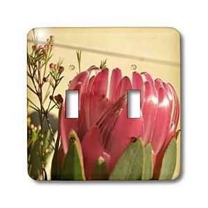 Patricia Sanders Flowers   Pink Protea Flower  Floral Photography 