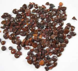 sour jujube seed Natural Cure For Insomnia 250g  