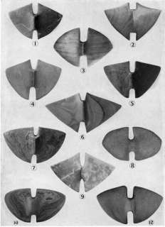 Bannerstones of the North American Indian   Notched Butterfly Group