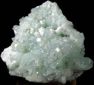 APOPHYLLITE crystal & PREHNITE  apin9iaz244  
