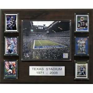    Dallas Cowboys Texas Stadium 16x20 Plaque