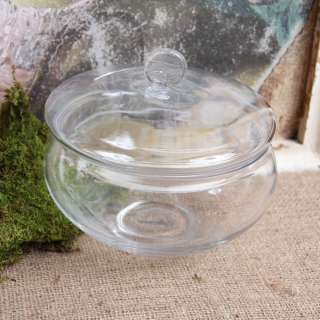 Glass Apothecary Jar  