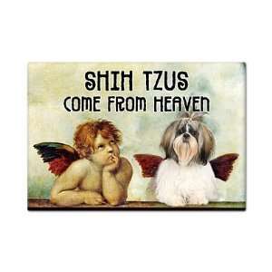  Shih Tzus Come From Heaven Cute Fridge Magnet Everything 