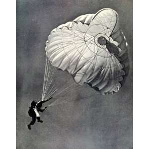   Parachute Skydive Chute   Original Halftone Print