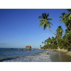 Pigeon Point, Tobago, West Indies, Caribbean, Central America 