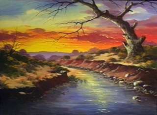 905 NEW MEXICO SUNSET   DVD (Acrylic) 74 minutes