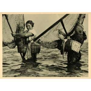  1927 Women Shrimp Fishing Island Halligen Photogravure 