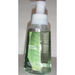   Rainkissed Leaves   Anti Bacterial Gentle Foaming Hand Soap 8.75 Oz
