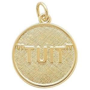  Rembrandt Charms A Round Tuit Charm, Gold Plated Silver Jewelry