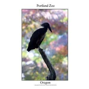  Portland Oregon Zoo
