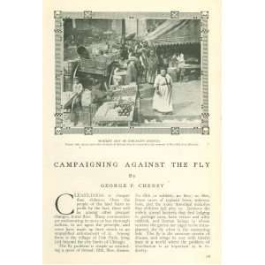  1910 Campaign Against House Fly Oak Park Chicago 