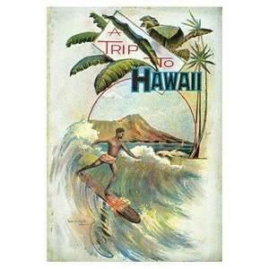  Hawaii Poster A Trip To 12 inch by 18 inch 1894