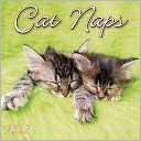 2013 Cat Naps Mini Wall Sellers Publishing, Inc.