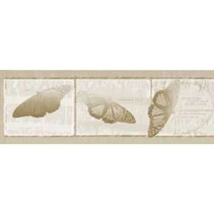  Transformed Sand Pastel Wallpaper Border by Writings on 