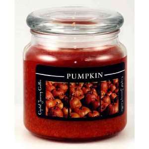  Spiced Pumpkin Herbal Magic Jar Candle 16 oz