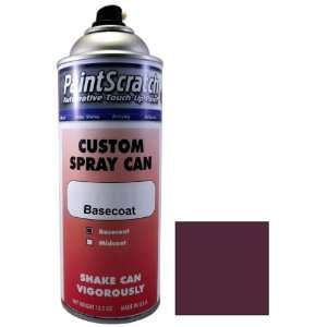   Touch Up Paint for 1995 Chrysler All Models (color code ME/PME) and