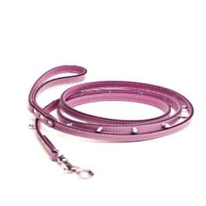  72 Spiked Leather Dog Leash for Small Dogs