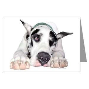  Great Dane Shy Harlequin Pets Greeting Cards Pk of 10 by 