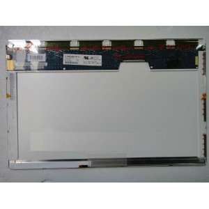   LED LCD Screen WXGA HD 1280 x 800 LCD Screen ONLY  THIS IS A NEW LCD