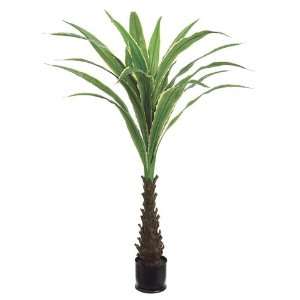   of 2 Potted Artificial Exotic Dracaena Silk Plants 4