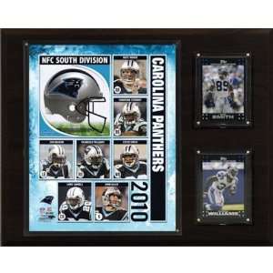 NFL Carolina Panthers 2010 Team Plaque
