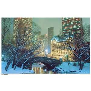  Central Park Snow Poster