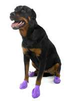 PawZ Dog Boots Reusable Disposable 12 Pack Size LARGE Purple  