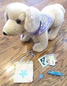 AMERICAN GIRL KAILEY RETIRED BEACH MEET ACCESSORIES AND SANDY PET DOG 