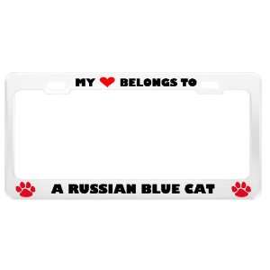  A Russian Blue Cat Pet White Metal License Plate Frame Tag 