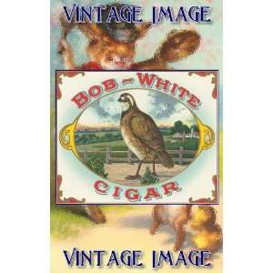   ) Acrylic Fridge Magnet Bird Bob White Vintage Image