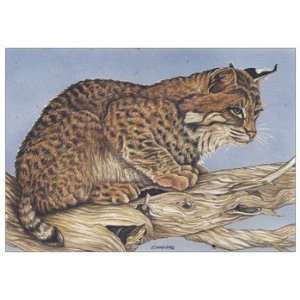  Bobcat, Bobcat Wildcat & Lynx Note Card by Martha Anderson 